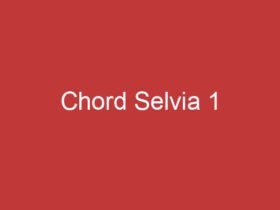 Chord Selvia 1