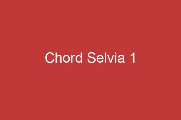 Chord Selvia 1