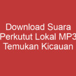 Download Suara Perkutut Lokal Mp3 Temukan Kicauan Merdu Perkutut Lokal