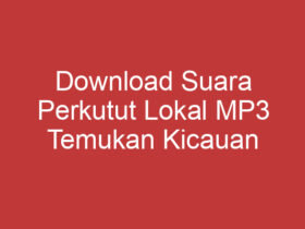 Download Suara Perkutut Lokal Mp3 Temukan Kicauan Merdu Perkutut Lokal