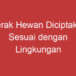 Gerak Hewan Diciptakan Sesuai Dengan Lingkungan Alam Mereka