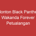 Nonton Black Panther Wakanda Forever Petualangan Hebat Di Dunia Wakanda