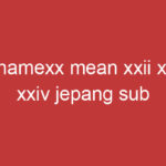 Xxnamexx Mean Xxii Xxiii Xxiv Jepang Sub Indonesia 2022 Adalah